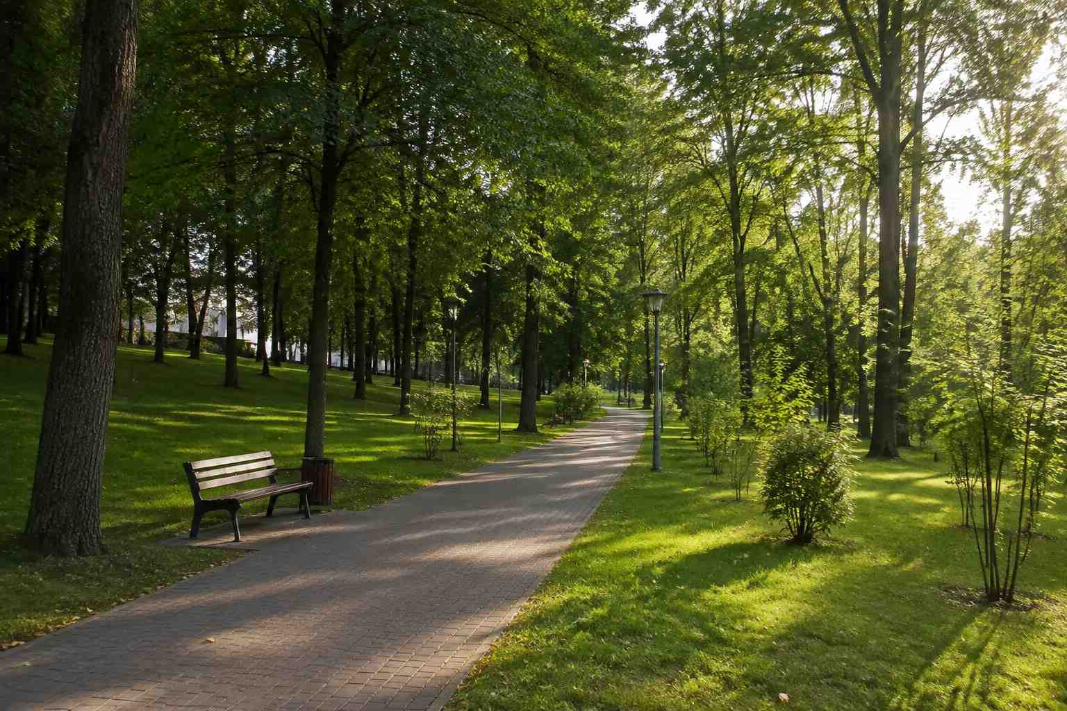 https://taganrog.blago-s.ru/storage/app/uploads/public/6a7/eef/ed2/6a7eefed2af22038960370.jpg
