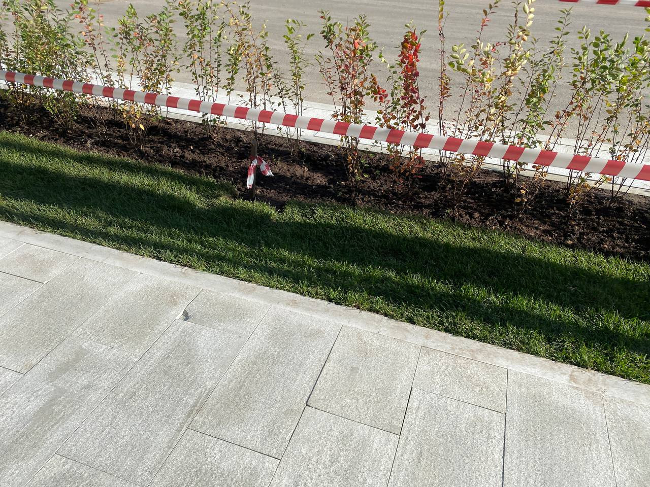 https://taganrog.blago-s.ru/storage/app/uploads/public/68b/fb1/6c6/68bfb16c6680d958739657.jpeg